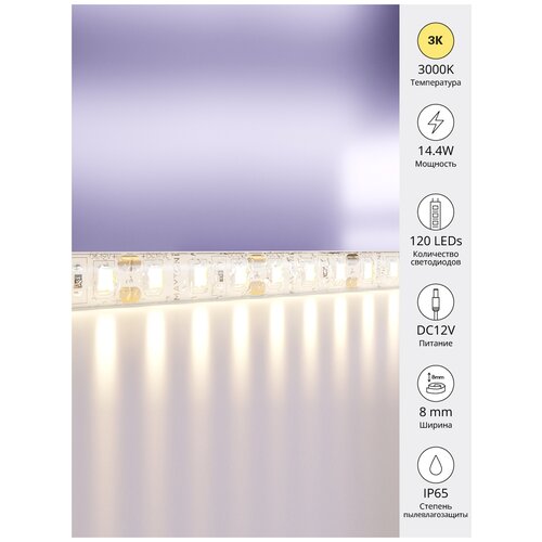   Led Strip 10117,  2450