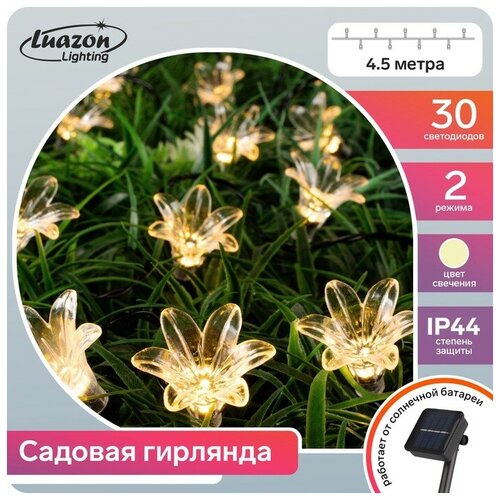   4.5    , IP44,  , 30 LED,   , 2 ,  ,  617