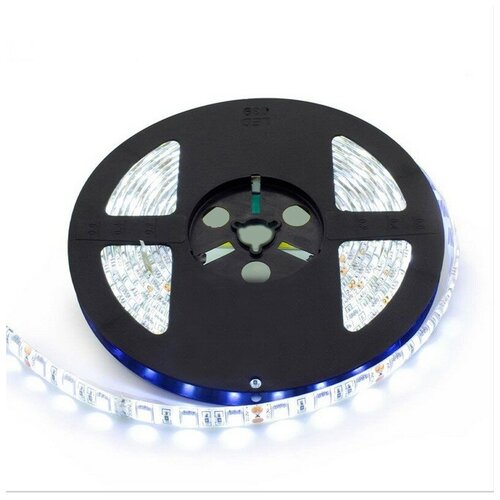   SMD5050-60LED--12V Double line 5. -  : 5500-6000K,  2700