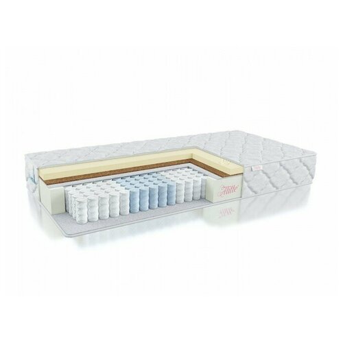 ������ Alitte Saul TFK M-19-K 80�200, ���� 15925�