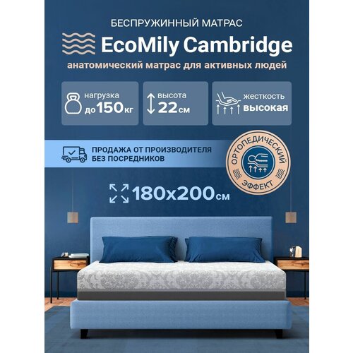   EcoMily Cambridge  ,  44502