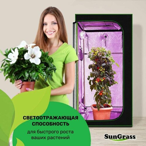 SunGrass /     /  VGT02 - 4040120 ,  6111