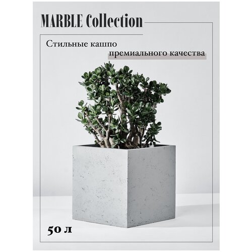 ,    Marble Collection  ,  ,  8250