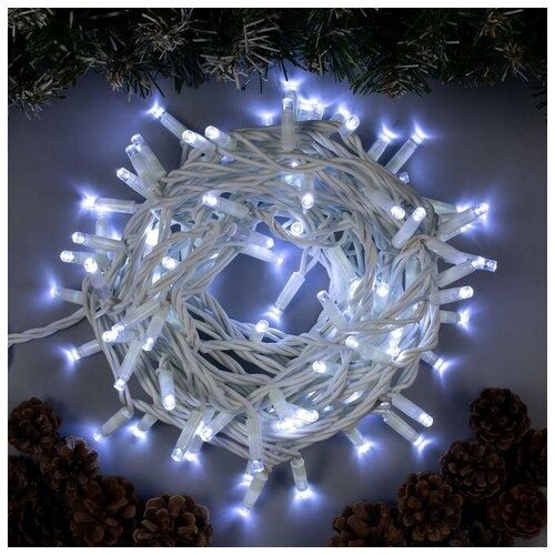   10  , IP65, ,  , 100 LED,  , 220 ,  2877