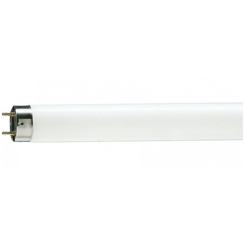  58 88700 TL-D STANDARD 58W/33-640 8 G13 4600 4000  PHILIPS (3 .  ),  851