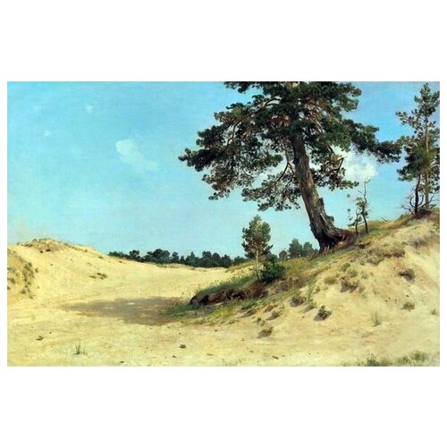       (Pine on the sand)   45. x 30.,  1340