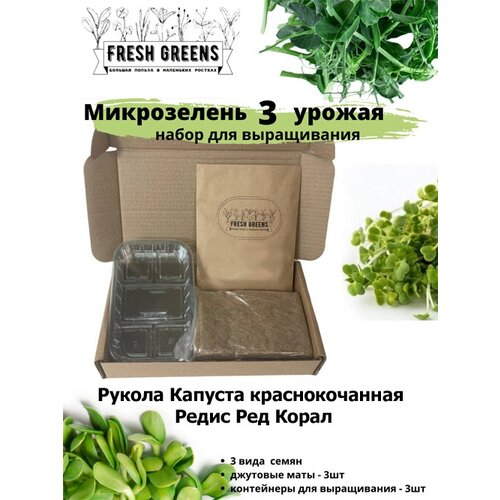     Fresh Greens (     ),  355