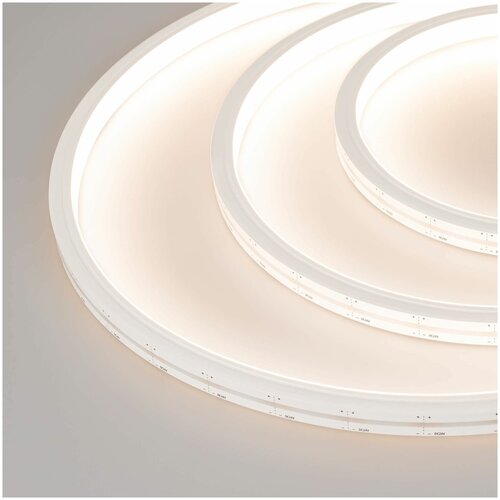   MOONLIGHT-TOP-M252-13x12mm 24V White-MIX (12 W/m, IP67, 2216, 5m, Wire x1) (Arlight, 12 /, IP67),  16497