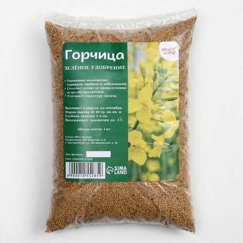 Семена Горчица,, 1 кг, цена 580р