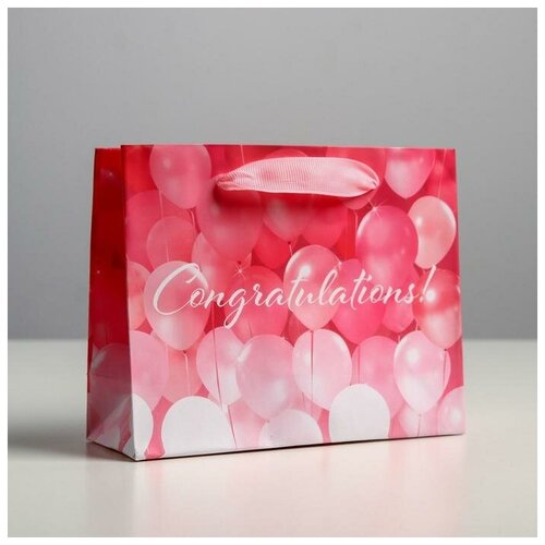 ����� �������������� �������������� Congratulations!, S 15 x 12 x 5.5 ��, ���� 399�