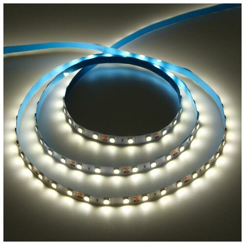   Ecola PRO, 12, SMD5050, 5 , IP20, 14.4/, 60 LED/, 4200 5501905,  892