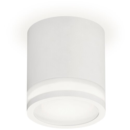    Ambrella light Techno Spot XS7401041 SWH/FR  /  (C7401, N7120),  2713