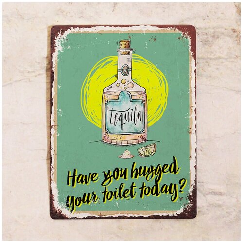 Жестяная табличка Have you hugged your toilet today?, металл, 30Х40 см, цена 1275р