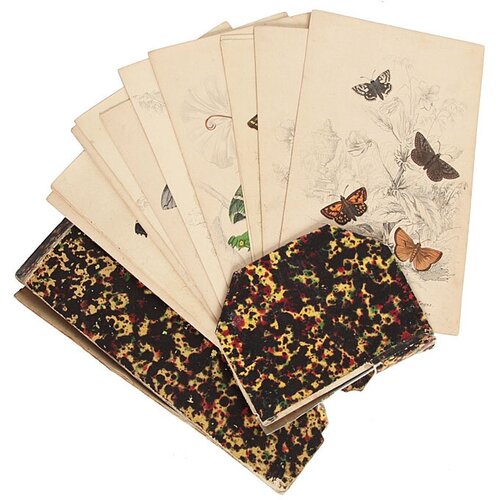 Виды бабочек. Комплект из 34 гравюр в оригинальном футляре. Западная Европа, ручная раскраска, конец XIX века, цена 148715р