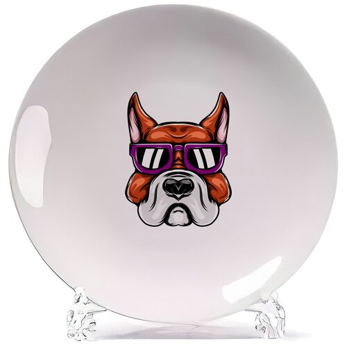 ������� CoolPodarok �������� ������ � �����, ���� 580�