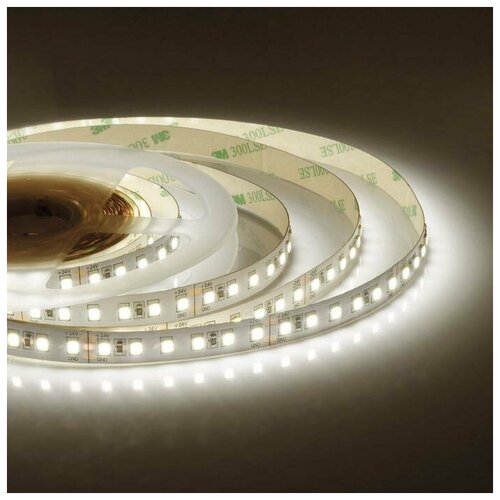 C  Apeyron Electrics 5 , IP20, SMD2835, 120 LED/, 16 /, 24 , 4000,  2808