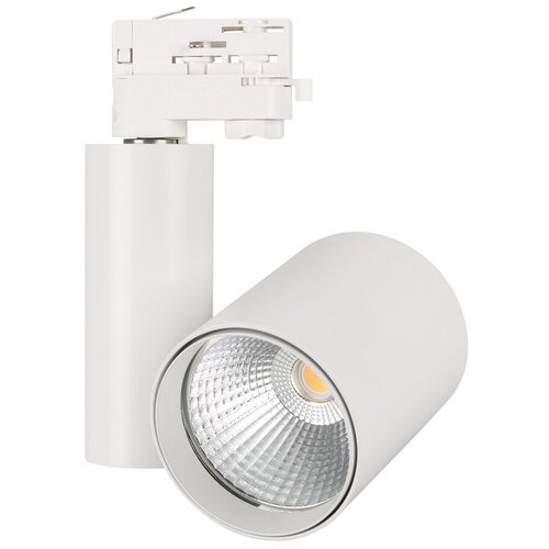  LGD-SHOP-4TR-R100-40W Warm SP3000-Fruit (WH, 24 deg) (Arlight, IP20 , 3 ),  4885