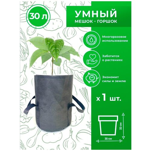   ( )     Magic Plant 30 ,  450