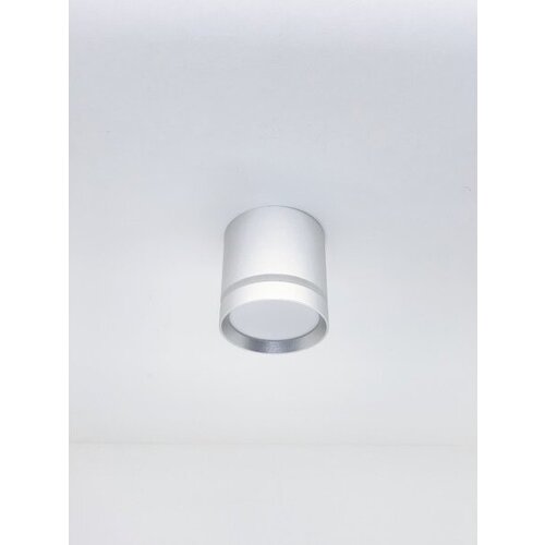    Elegant DZN-10253 SILVER/ D84/H87/1/LED/12W 5000-5500K,  1850