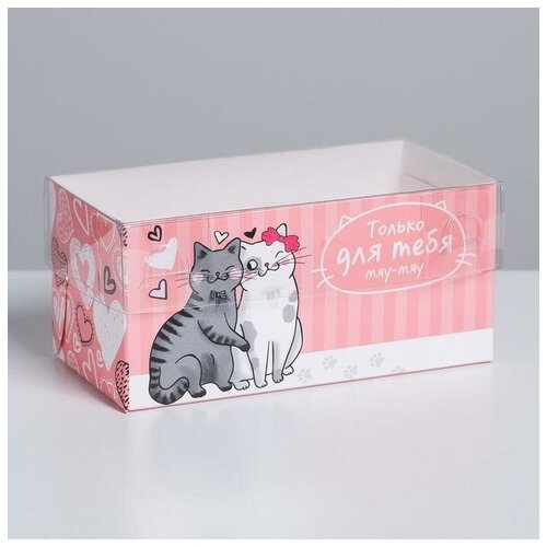 ������� �� 2 �������� ������� ��� �����, 16 ? 8 ? 7.5 ��(5 ��.), ���� 547�