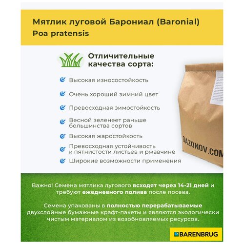 Семена газона Мятлик луговой сорт Барониал Barenbrug (3 кг), цена 4500р