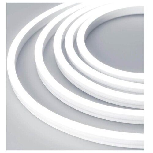   ARL-MOONLIGHT-1004-SIDE 24V White (Arlight, 7.2 /, IP65),  7913