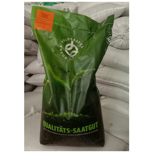 Семена Клевер ползучий (белый), 25 кг, цена 50200р