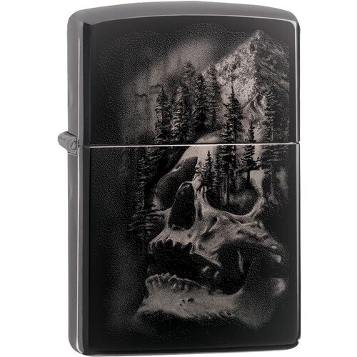  Zippo 49141,  6290