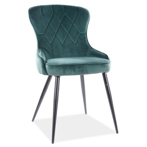 ���� SIGNAL LOTUS VELVET, ����� ������ / ������� BL78, ���� 8680�