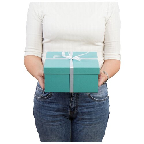 ������� ���������� 200�200�100��. - ��������� ���������� - 