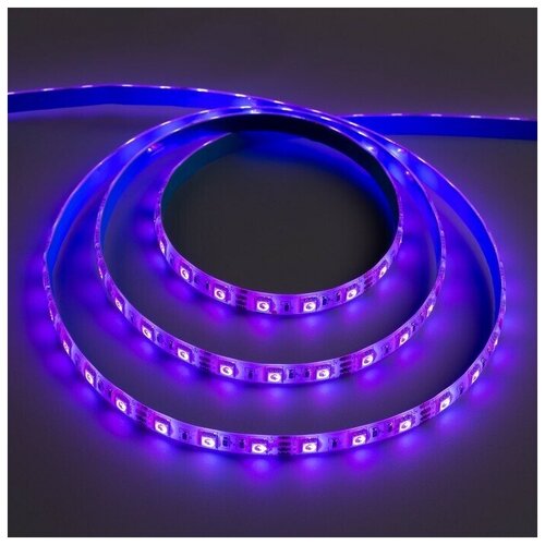   Ecola PRO 5 , IP20, SMD2550, 60 LED/, 19 /, 12 , 4200,  605