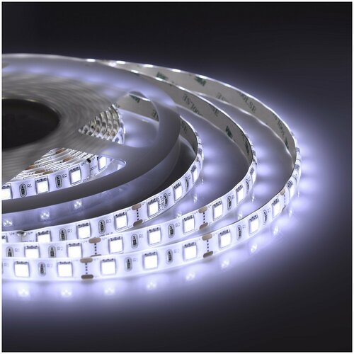      Apeyron 129      6500,     700 / /  24, 10/ /  smd3528, 120/ / IP20 /   5  /  1 ,  1153