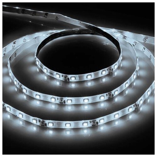  , 60SMD(2835)/m 4.8W/m 12V 1m 6500, LS604,  235