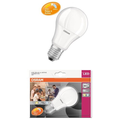   OSRAM  A E27 8 220,  1,  482