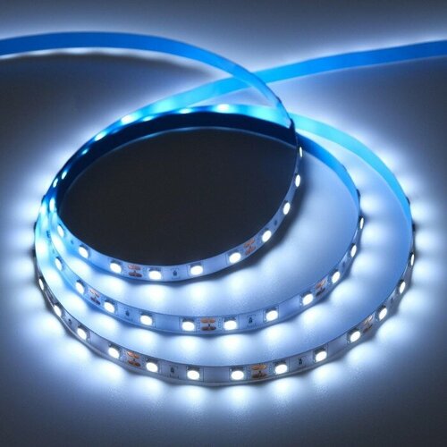   PRO 50 , IP20, SMD5050, 60 LED/, 14.4 /, 12 , 6000,  5048