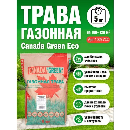 Газонная трава семена 5 кг, газон Низкорослый ЭКО, Канада Грин семена газона, цена 1690р