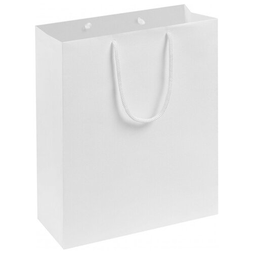 ����� ���������� Ample M, 23�28�9��, �����, 7440.60, ���� 583�