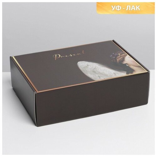 ������� �������� Present, ��-���, 30.7 x 22 x 9.5 ��, ���� 256�