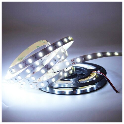    High lum SMD 5630-60LED-IP33-12V LUX 5. -  : 5500-6000K,  2700