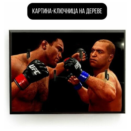    20x30   2014 UFC 2009 - 1576 ,  590