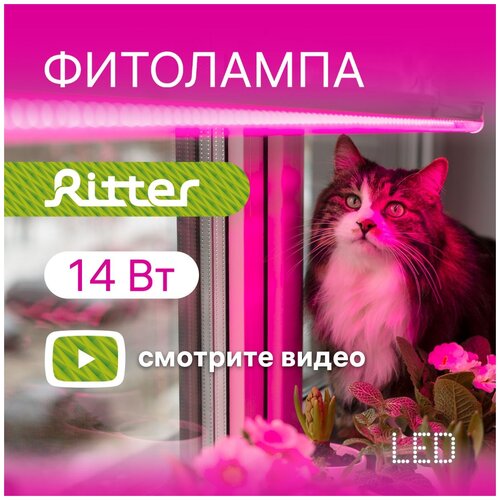    Ritter Planta 56297 9,  832