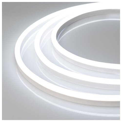   ARL-NEON-1608-SIDE 24V White (Arlight, 6 /, IP65),  57690