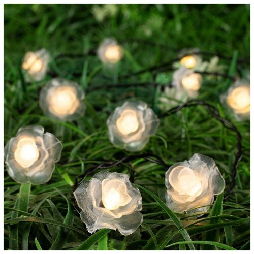   4.5    , IP44,  , 30 LED,   , 2 ,  ,  1268