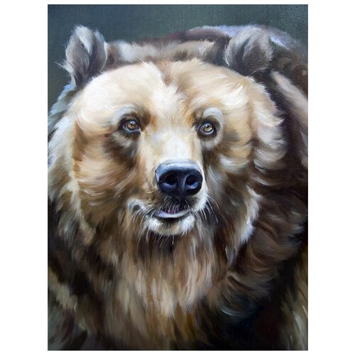     (Bear) 1 30. x 40.,  1220