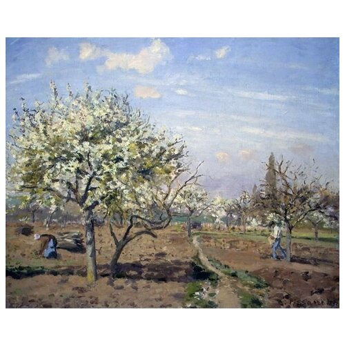        (Orchard in Bloom, Louveciennes)   62. x 50.,  2320