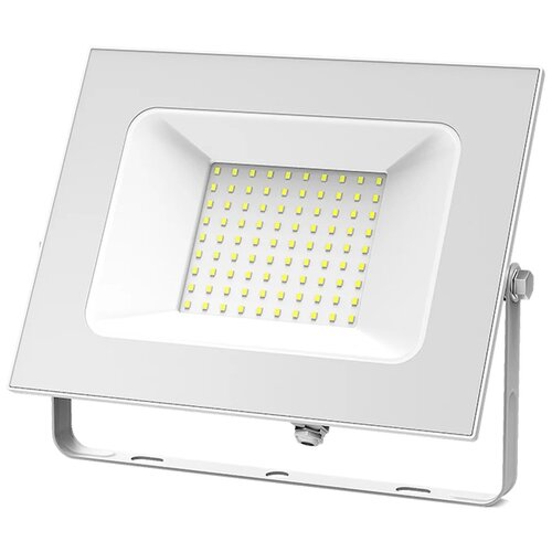   Gauss LED IP65 100W 6500  613120300,  2850