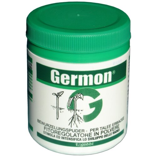 Germon 