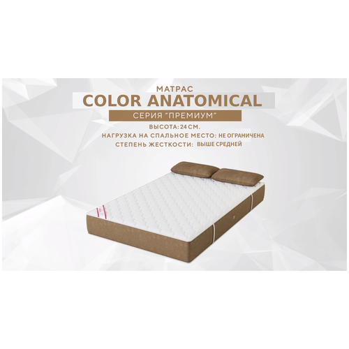    Color Anatomical 140200  ,  73950