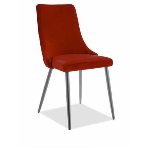 ���� SIGNAL PIANO B MATT VELVET, ������, ���� 5270�