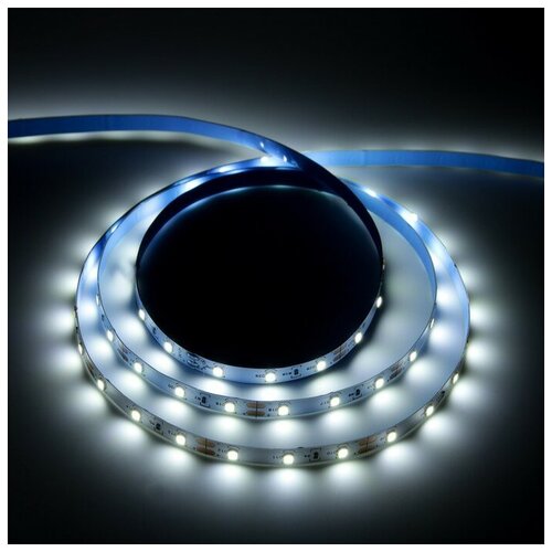   Uniel, 5 , LED/-60-SMD2835-12V, 4.8 /, Ip20,  9544310,  558